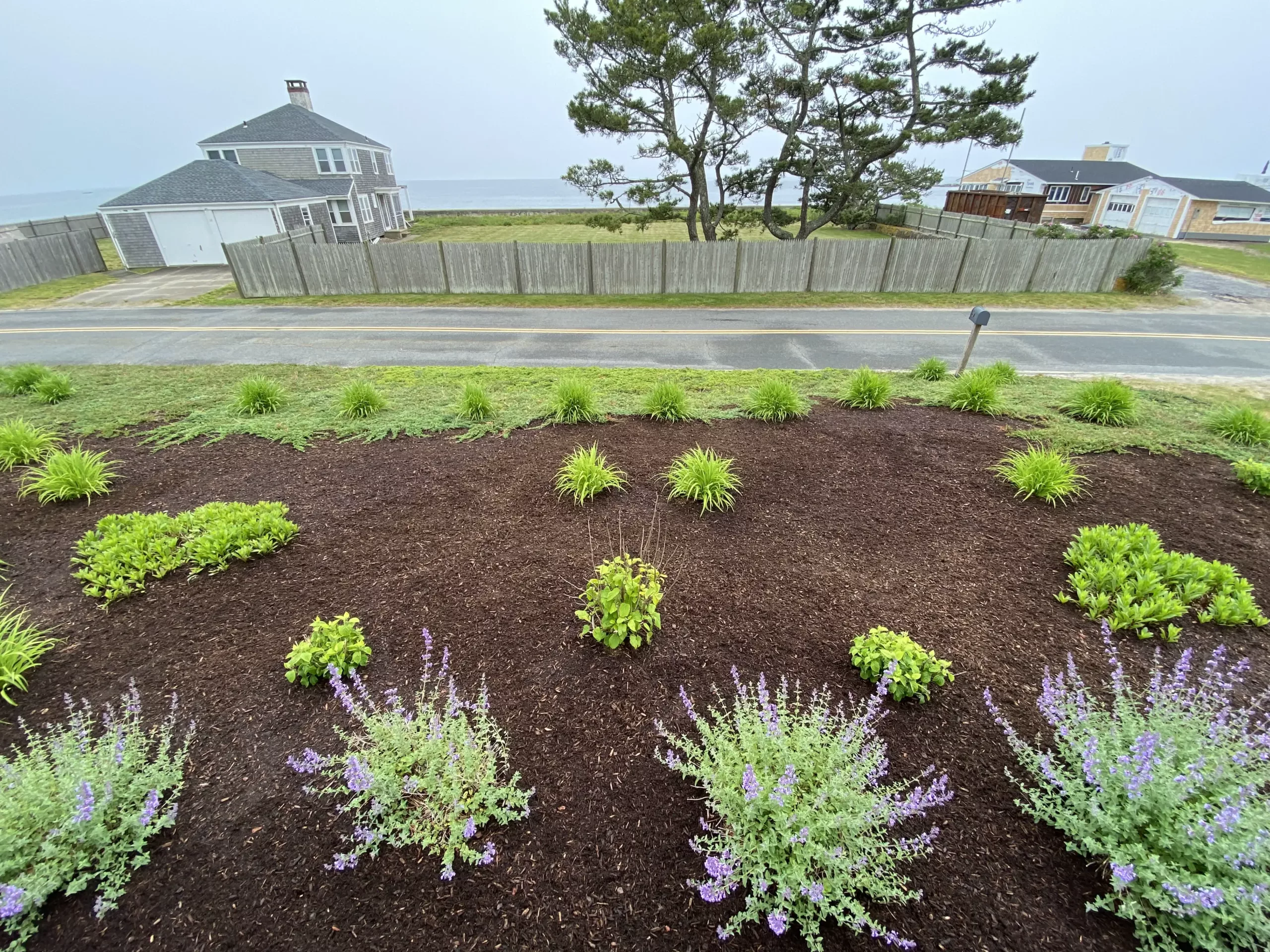 Freshly landscaped scene with mulch and plants